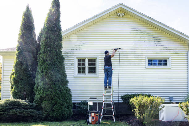 Professional Pressure Washing in Burns, TN